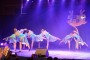 Thumbs/tn_Dansmarieke festival 2015 519.jpg